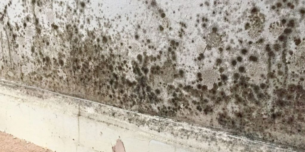 humedades en pared